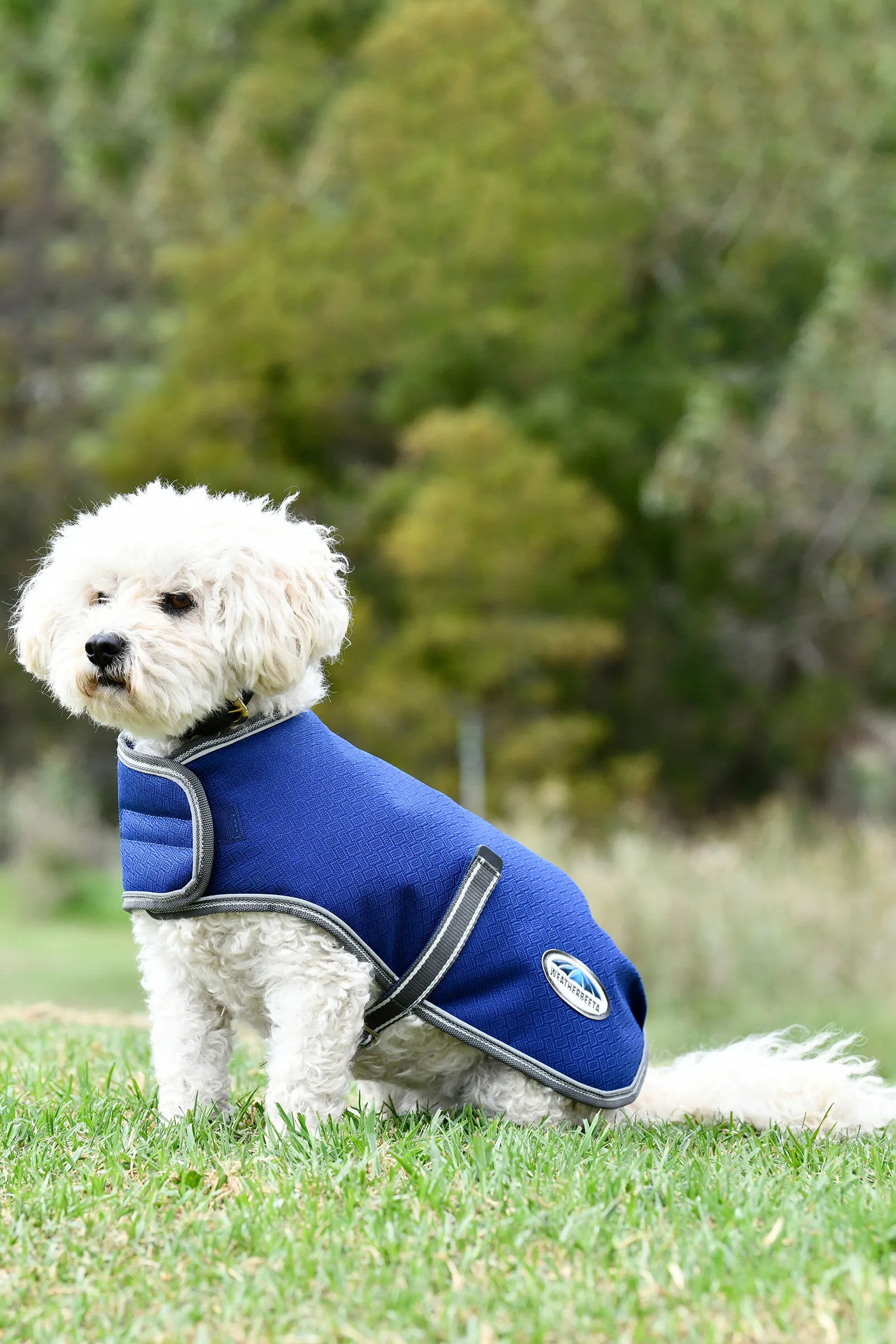 Weatherbeeta Comfitec Premier Free Parka Cappotto per cani medio, 220 gr