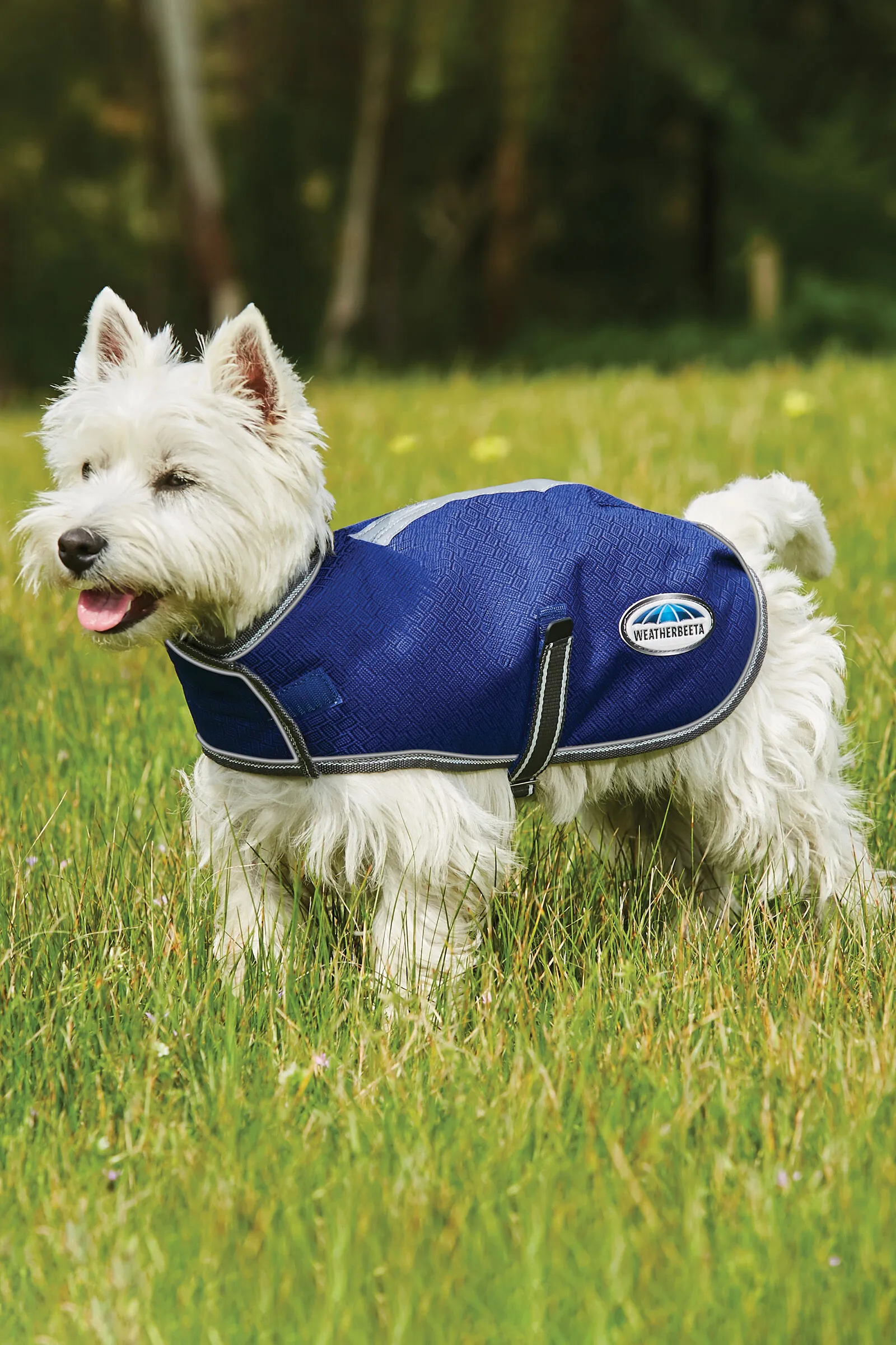 Weatherbeeta Comfitec Premier Free Parka Cappotto per cani medio, 220 gr